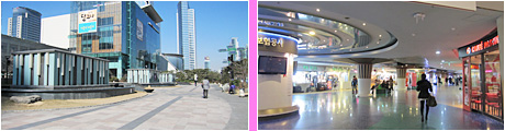 ����coex mall
