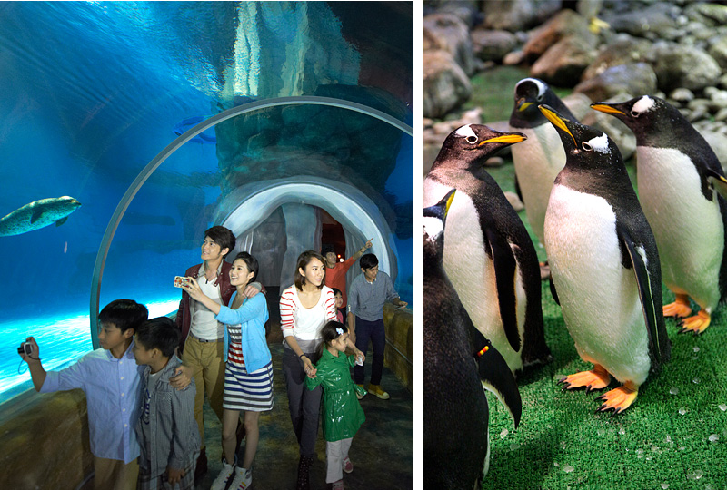 香港海洋公園冰極天地冰極隧道