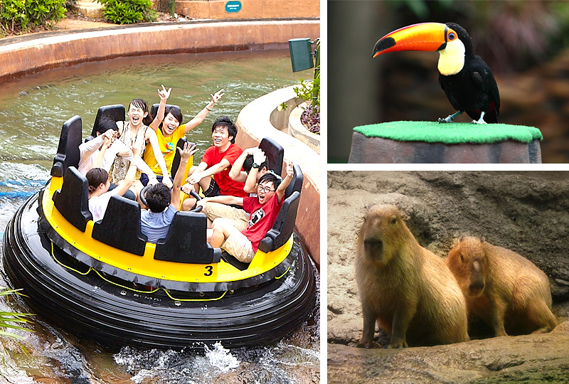 香港海洋公園動感天地熱帶雨林天地