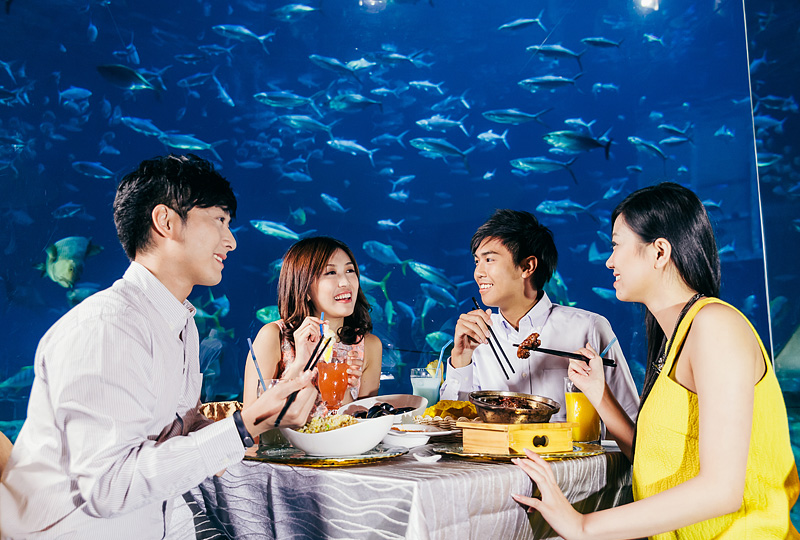 香港海洋公園歡樂慶典