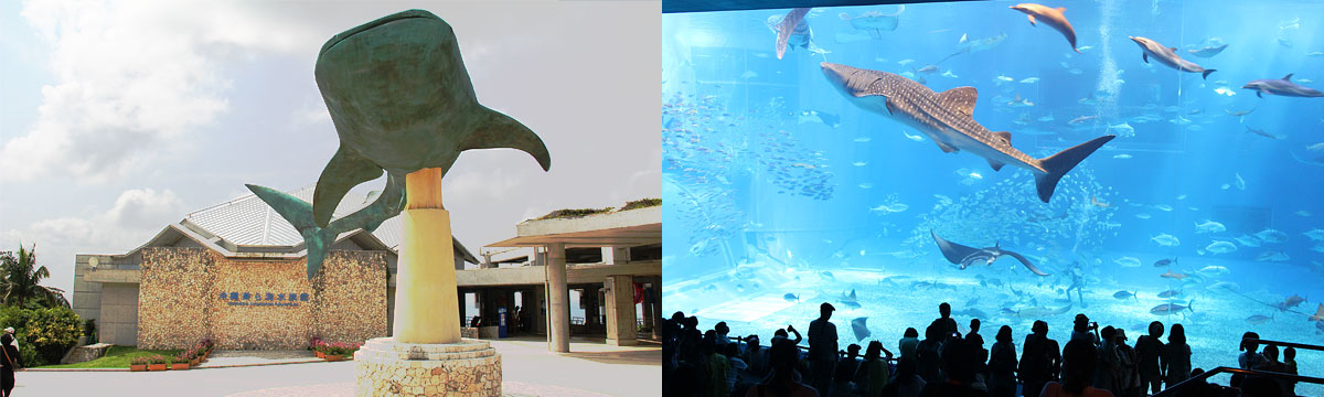 沖繩海洋博公園