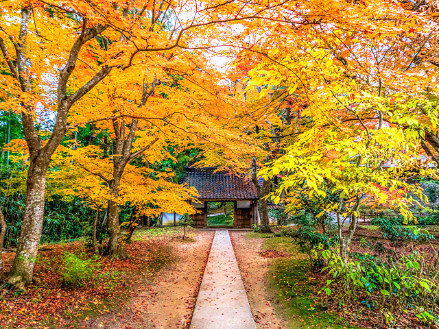 平泉中尊寺
