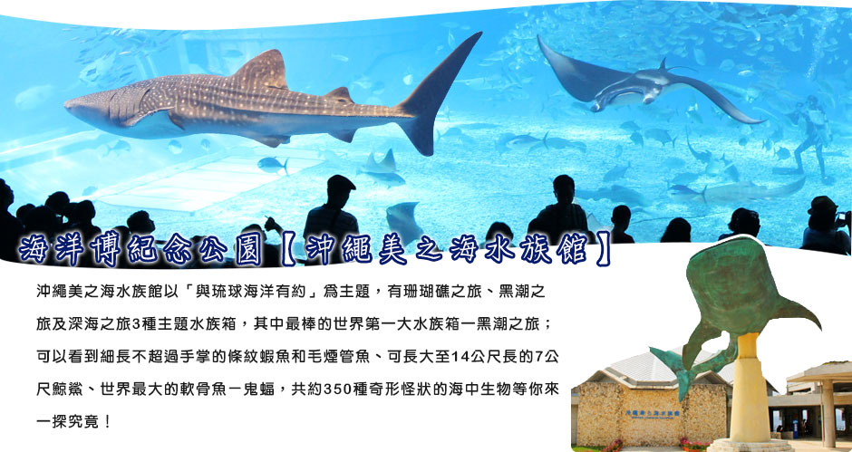 ���v�լ�������(�R÷�����������])