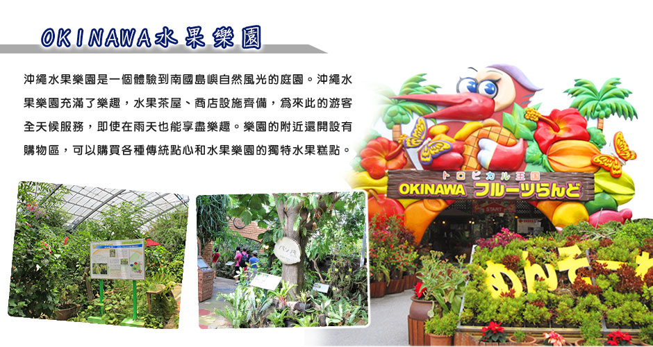 OKINAWA�ȼ��a���G�ֶ�