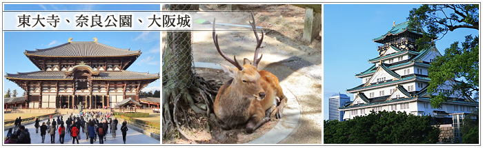 新春賀歲 熱戀淡路島環球影城有馬溫泉巡禮邂逅四城蟹宴六日