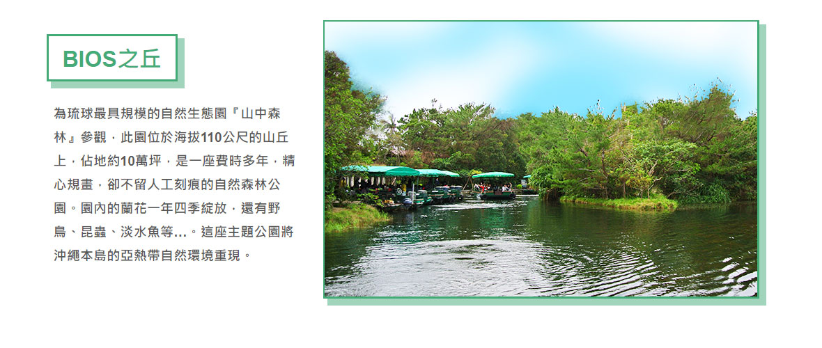 Bios之丘