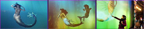 虛擬水族館─3D美人魚