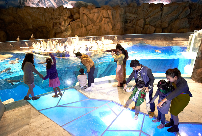 香港海洋公園冰極天地企鵝館展區