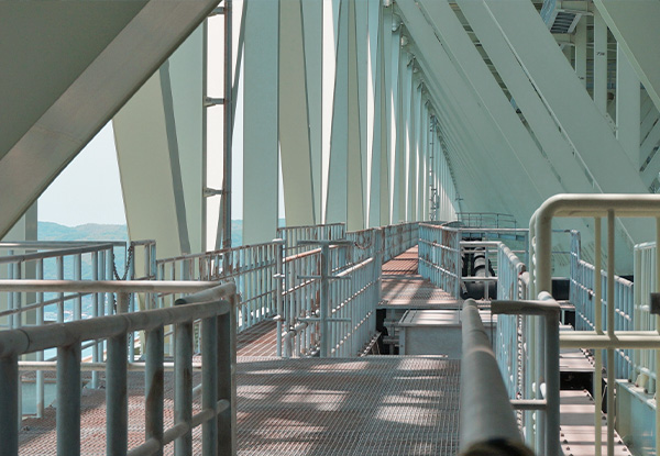 �R�l���W�����C�B�D